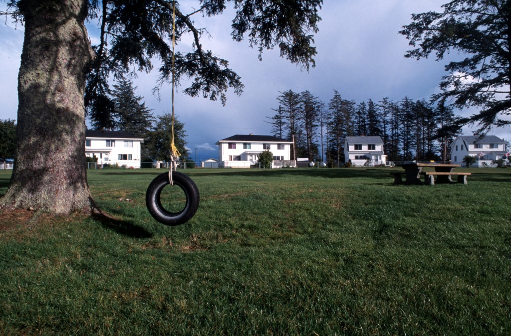 A tire swing hanging from a tree in a grassy backyard