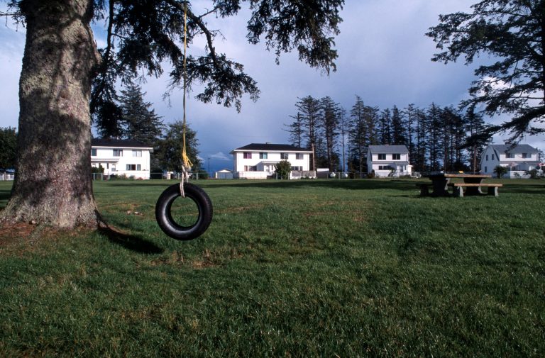 A tire swing hanging from a tree in a grassy backyard