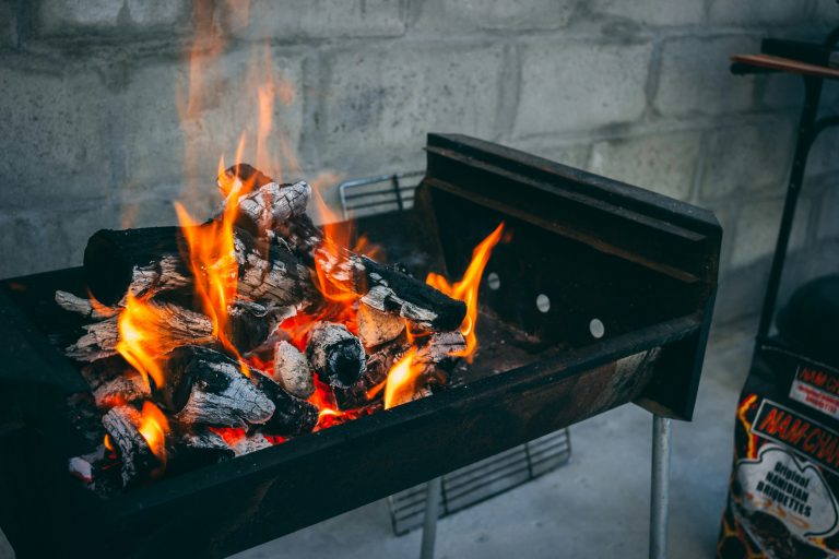 Food cooking over a traditional South African braai fire